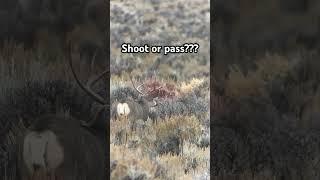 #keepthefaithhunting #navajonation #deerhunting #bigbucks #deerhunt #nm #azhunt #colombia #wildlife
