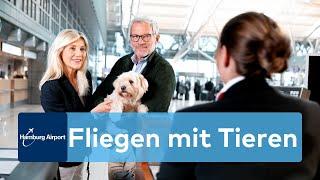 Fliegen mit Tieren: Was bei Reisen mit Hunden zu beachten ist