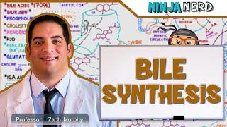 Gastrointestinal | Bile Synthesis