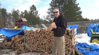 Firewood Drying Time And How To Speed Dry Firewood