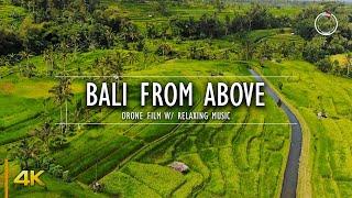 Bali from Above | 1 Hour Drone Film | Aerial 4K Nature Video w/ Relaxing Ambient Music | OmniHour