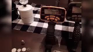Metal detector comparisons At pro Vs. Ace 400  Gold readouts
