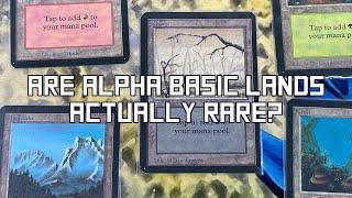 Are Alpha Basic Lands Actually Rare?