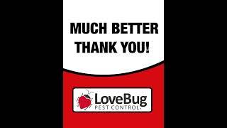 LoveBug Pest Control