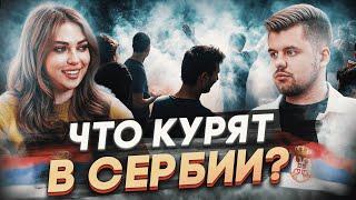 Открыть Кальянную в Сербии за 5 МИЛЛИОНОВ? 
