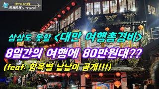 #349[대만 여행] 80만원대 상상할수없는 적은비용 나온 이유/타이베이/가오슝/타이난/타이중4개도시일주 8일간의 비용  공개/출국전 반드시 준비해야할것/대만 공항도착후 해야할일