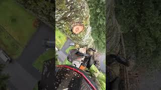 Long drop...#chainsaw #chainsaws #climber #outdoors #climb #work #wood #treeservice #trees #heights