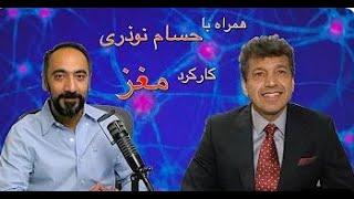 عملکرد مغز انسان چگونه است؟