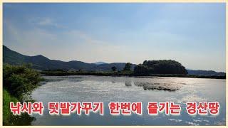 경산시 용성면 낚시와 텃밭가꾸기를 한번에 즐길수 있는 경산땅 2927