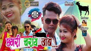 छेगरी चराय जाब | Manoj Mahli | Mishti Priya | Nagpuri Video Song 2018 | Nagpuri Melody Video | Mix