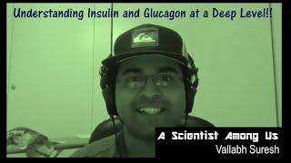 Hypotheses on Obesity Ep. 2: The Mechanisms of Insulin and Glucagon