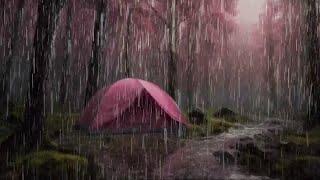 HEAVY RAIN CAMPING TENT IN THE FOREST zzzzZZZZZZZZzzzz