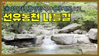 선유동천 나들길 - 대야산자연휴양림에서 용추계곡으로 | 경상북도 문경시 | 문경 여행