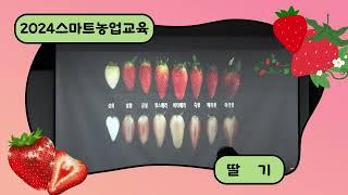 딸기 화아분화 유도 및 정식 전 스마트 환경관리 기술(스마트농업 실용 교육)