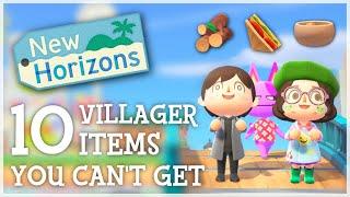 Animal Crossing New Horizons - 10 VILLAGER ITEMS You Can't Get (Ft. @froggycrossing)