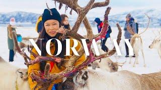 Solo Trip to Tromsø, Norway | 3 Day Itinerary | Northern Lights + Reindeer