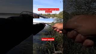 Запаркував трофейну щуку#спінінг#трофейнащука#fishing #риболовля