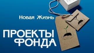 Благотворительный Фонд «Новая Жизнь» | Проекты Фонда