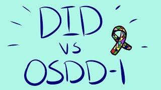 DID vs OSDD | From an OSDD-1b Perspective