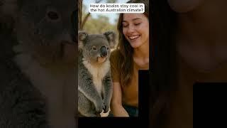 How Do Koalas Stay Cool? | Eternal Bytes #47