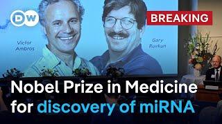 Nobel Prize in Medicine 2024: Victor Ambros and Gary Ruvkun's Groundbreaking Discovery