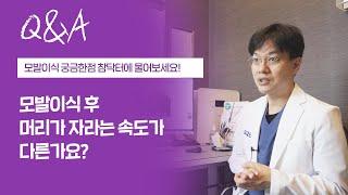 참닥터 모발이식후 머리가 자라는 속도가 다른가요?