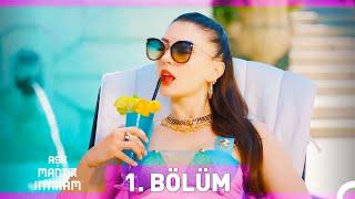 Aşk Mantık İntikam 1. Bölüm