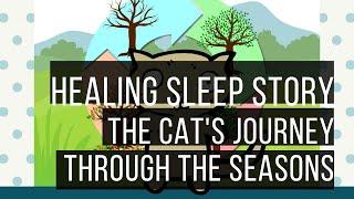 The Cat's Journey Through The Seasons  SLEEP STORY FOR GROWN UPS  Adult Bedtime Story