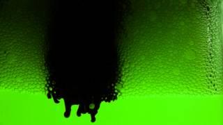 James Ehlenz - Beerly Titled