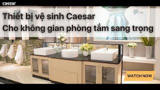 Thiết bị vệ sinh Caesar - Cho không gian phòng tắm sang trọng