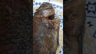 FRIED TILAPIA / JASMINE NAV