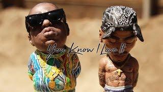 Biggie Smalls Ft. 2pac - You Know I Love It ( Alan Walker Style Remix )