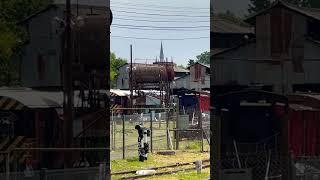 Desde la estación Benito Lynch del Urquiza se ven las torres de Lourdes #shorts #urquiza #lourdes