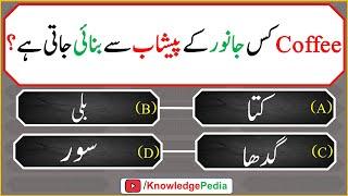 islamic urdu Best Paheliyan | Riddles About Islam | اسلامی سوالات | islamic Questions 618