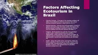 Ecotourism in Brazil by Alex Diaz