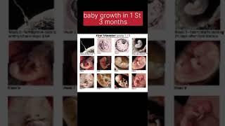 #baby development in 1st to 13th week #shortsfeed #twinsbabies