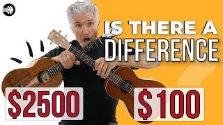 $100 Kala Ukulele vs $2500 Kanilea Ukulele - Baritone Edition!