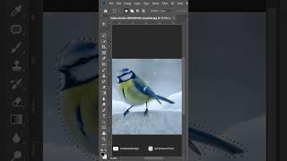 How To Remove ANY Object in Photoshop #shorts