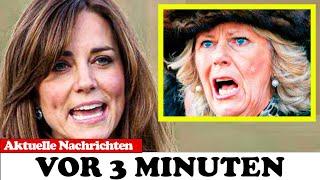 Prinzessin Catherine wirft Königin Camilla wegen Prinz Harry raus (hier ist der Grund!)