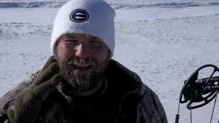 Bone Cold TV - Greenland Muskox - Part 2