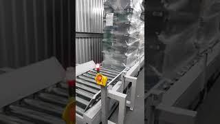 QLEVER INTRALOGISTICS pallet conveyor on gear drive