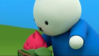 The Funny Fruit | Miffy's Adventures Big & Small