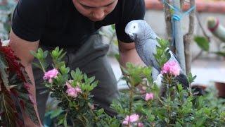 Do Parrots Really Need Routine?