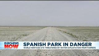 Spain's Doñana National Park under threat as groundwater pumping continues