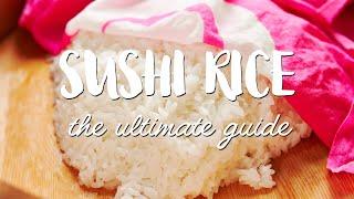 BEST Sushi Rice Recipe (寿司飯) Step-By-Step Guide