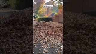 #41Huge pile of leaves, clean-up season. #gardening #landscaping #shorts