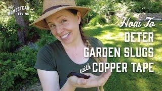 How to Deter Garden Slugs with Copper Tape