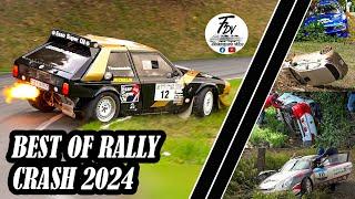 BEST OF RALLY CRASH 2024 | GROUP B - MANY LEGEND CARS  [HD]