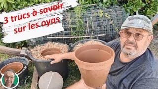 3 trucs à savoir sur les oyas