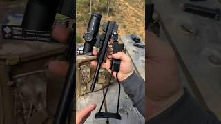 Foldable survival rifle